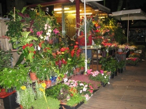 Rambla de las flores, les magasins de fleurs de La Rambla