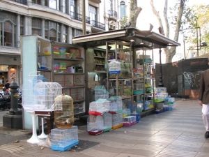 Kiosques qui vendent des animaux La Rambla Barcelone